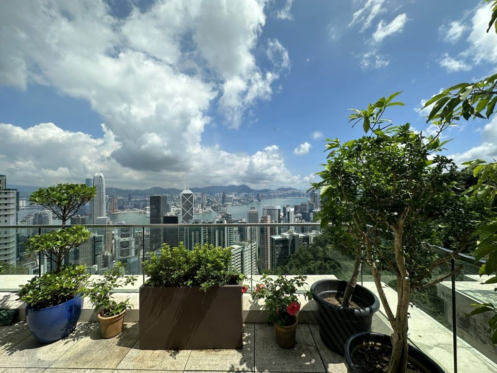 photo 22 — 28 Barker Road, The Peak
