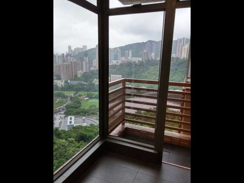 photo 12 — Broadwood Twelve, Happy Valley