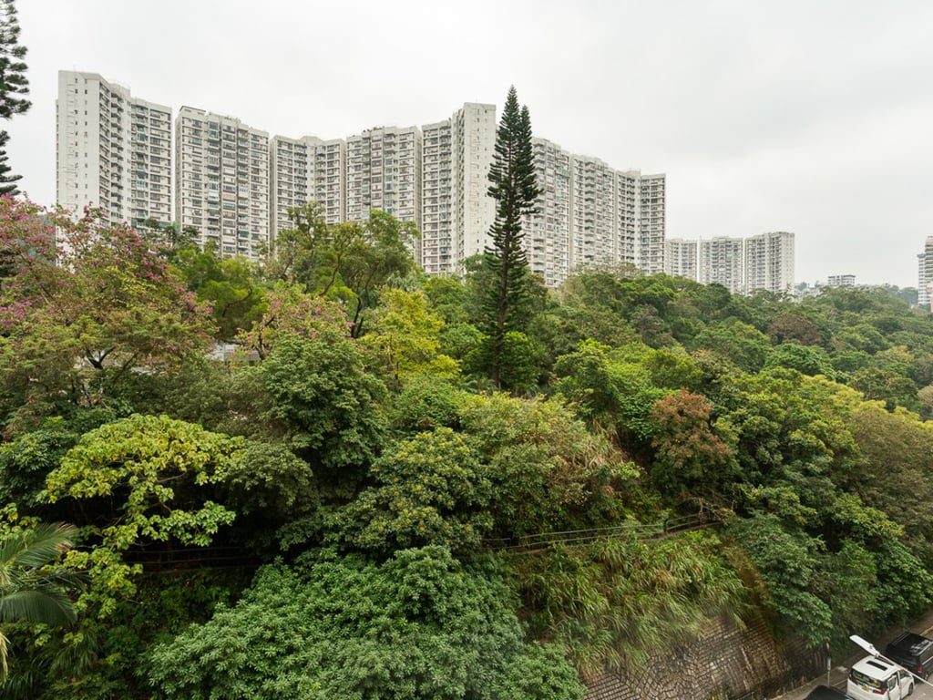 photo 12 — Pacific Palisades Twr 8, North Point Hill