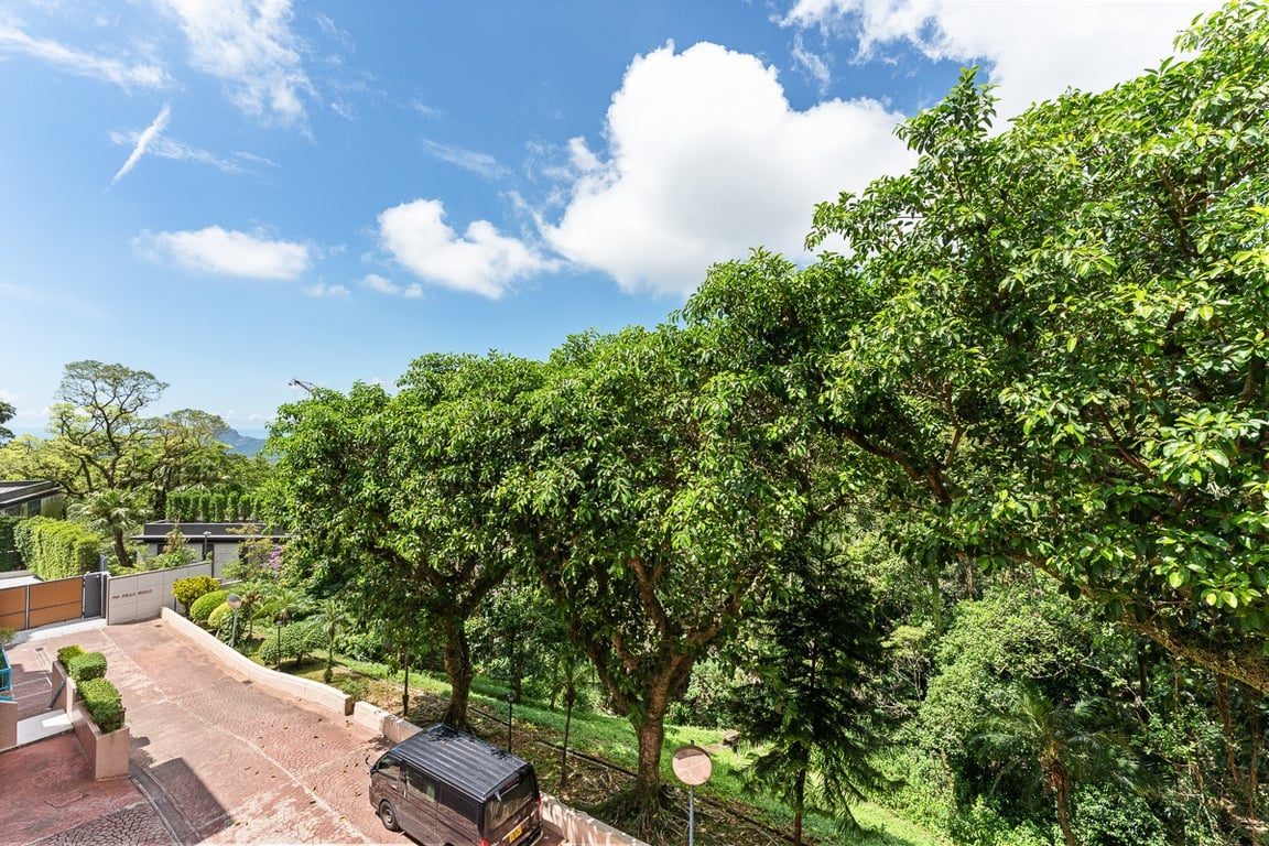 photo 2 — Stewart Terrace, The Peak