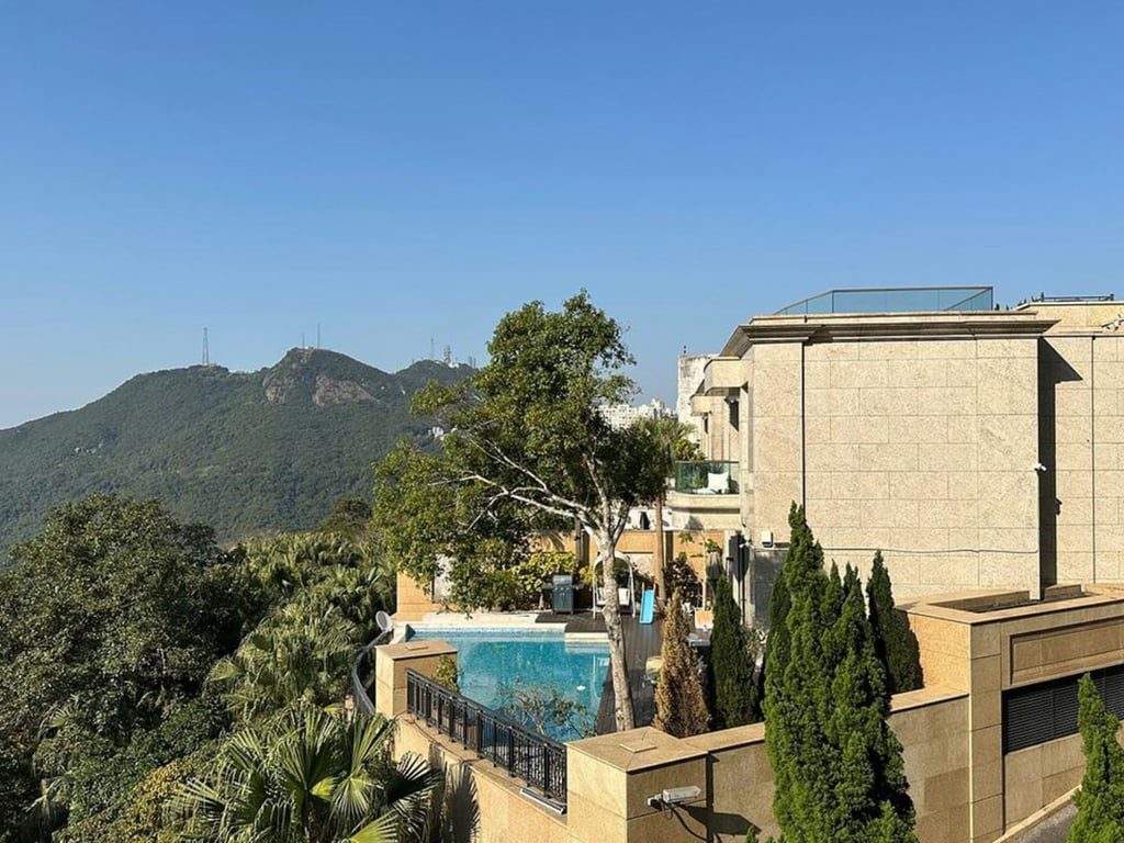 photo 3 — Kelletteria, The Peak