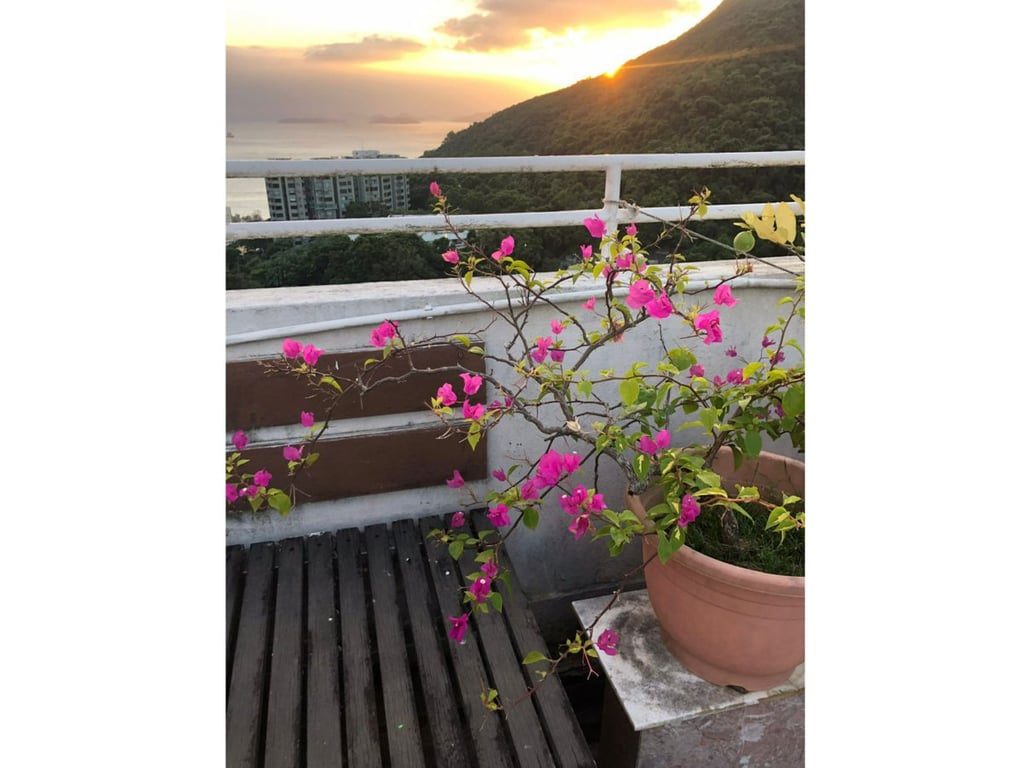 photo 10 — Y.Y. Mansions, Pok Fu Lam