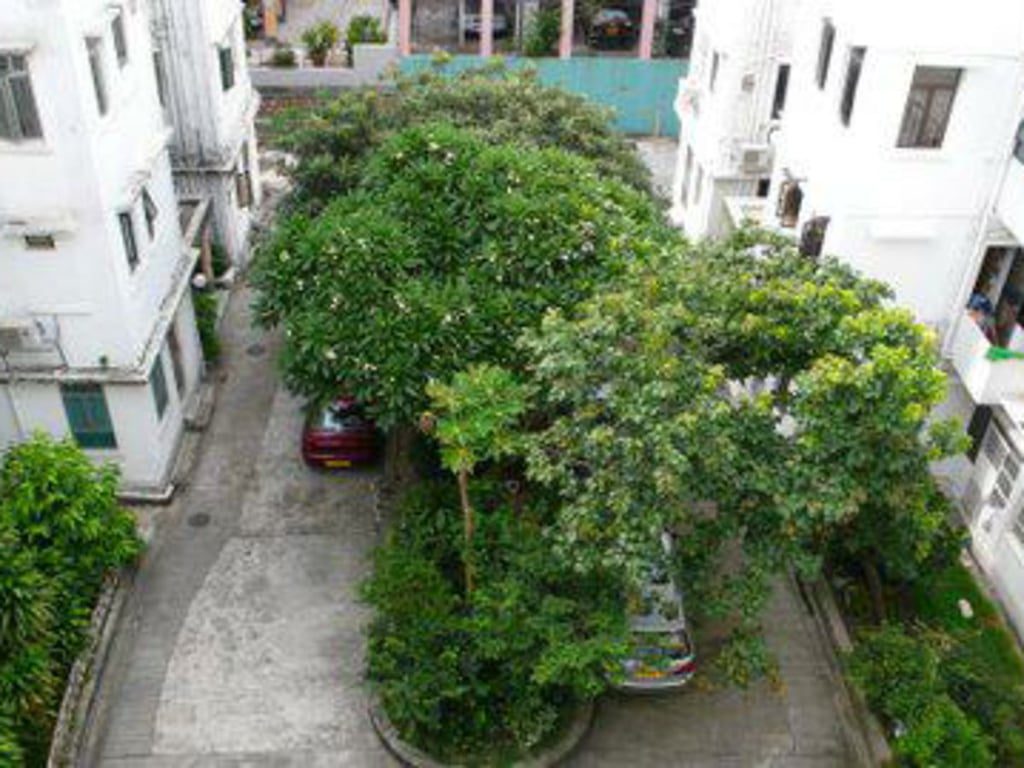 photo 6 — Grandview Mansions, Tai Hang