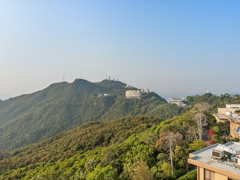 photo 18 — Vivian Court, The Peak