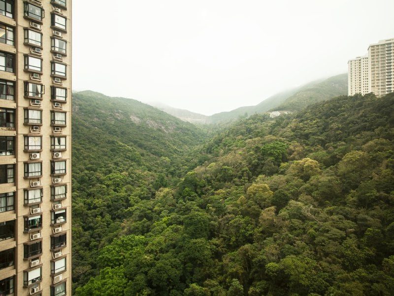 photo 3 — Ronsdale Garden Blk 1, Jardine S Lookout