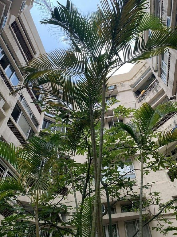 Hee Wong Terrace