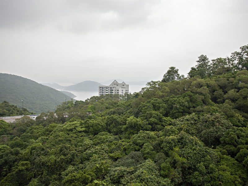 photo 5 — Mount Pavilia, Clear Water Bay