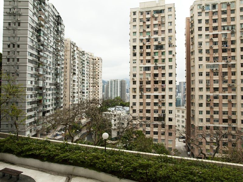 photo 6 — Elm Tree Towers, Jardine S Lookout