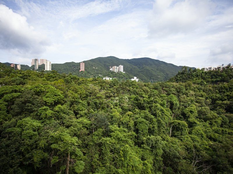 相片 14 — 深水灣徑8號4房住宅單位，深水灣
