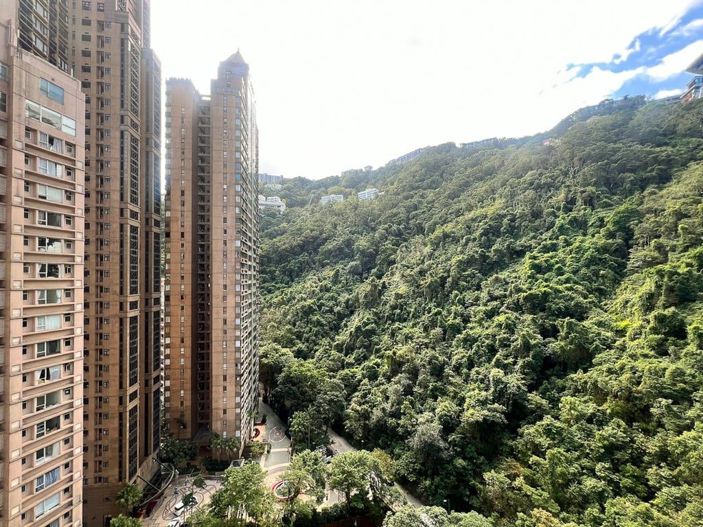 photo 9 — Tregunter Tower 1, Mid Levels Central