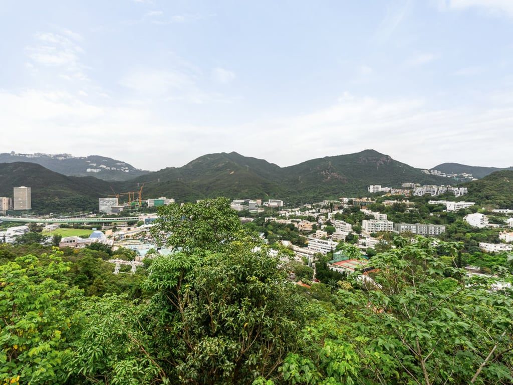 相片 16 — 文麗雙築，黃竹坑