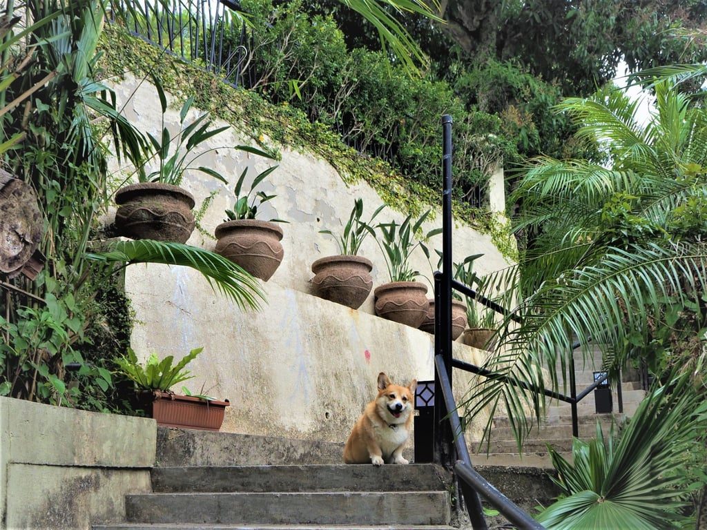 photo 2 — Fu Kong Shan, Lantau Island
