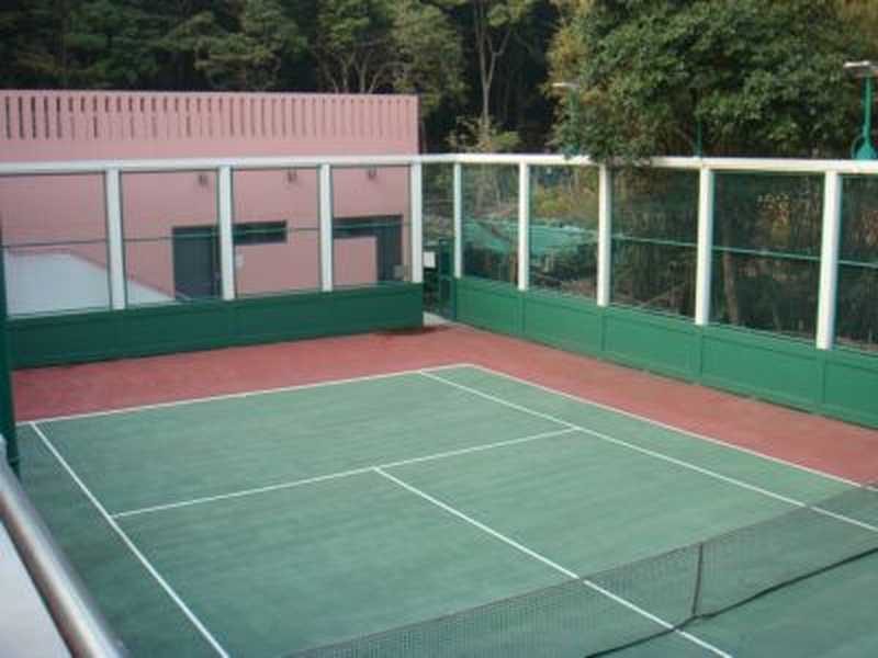 photo 15 — Mount Austin Estate, The Peak