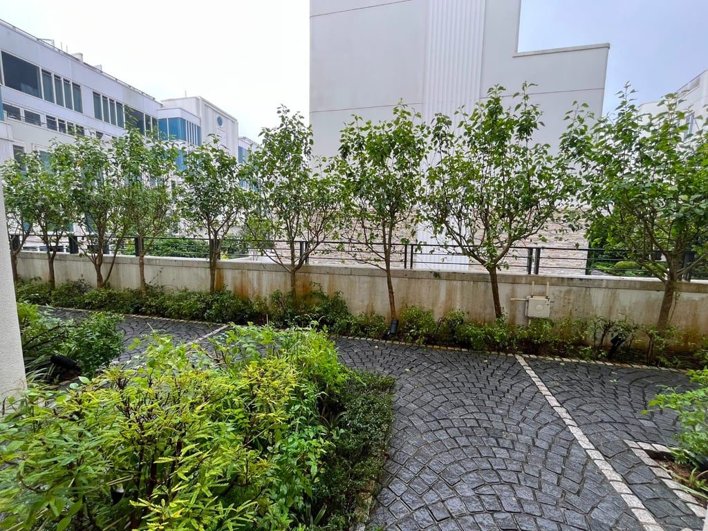 photo 12 — Le Cap, Shatin