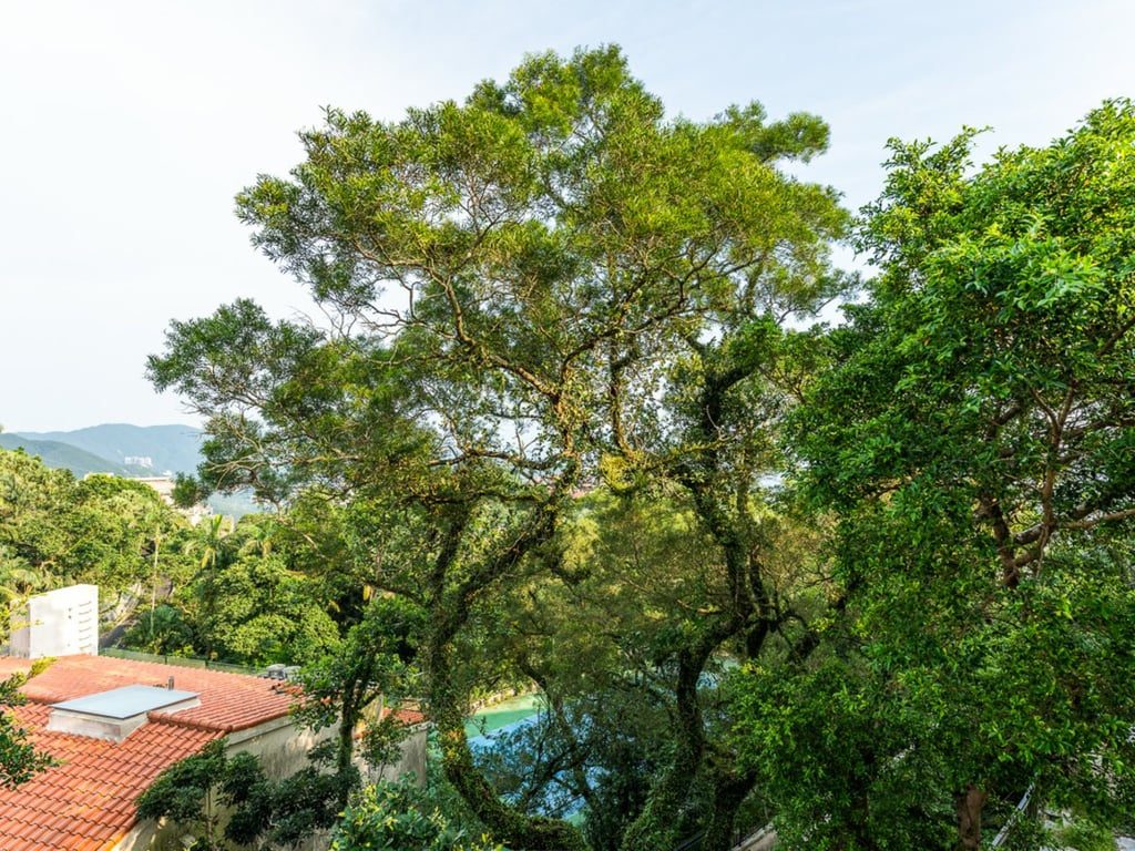 photo 4 — Strawberry Hill Phase II, The Peak