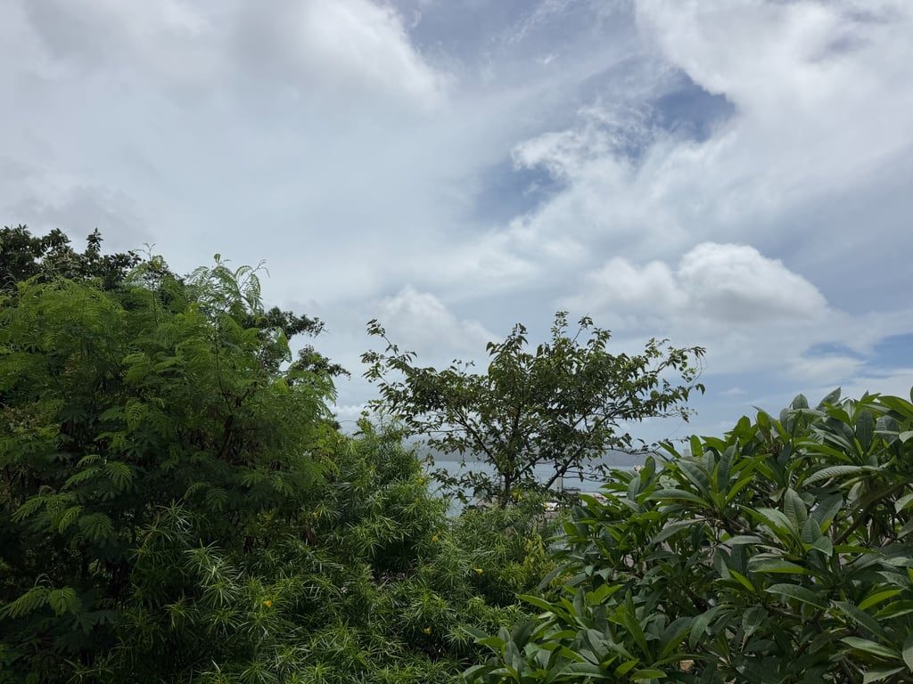 photo 9 — Taoloo Villa, Clear Water Bay